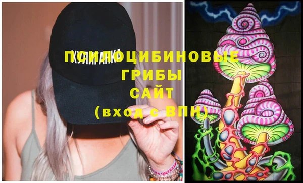 эйфоретик Балахна