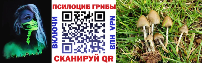 Галлюциногенные грибы прущие грибы Мамоново