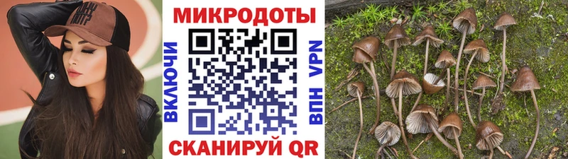 Купить закладки  Мамоново  Псилоцибиновые грибы MAGIC MUSHROOMS 